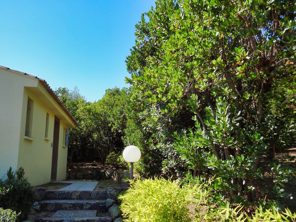 U Sole Livante: location mini villa T2 vue mer baie Santa Giulia, Porto Vecchio