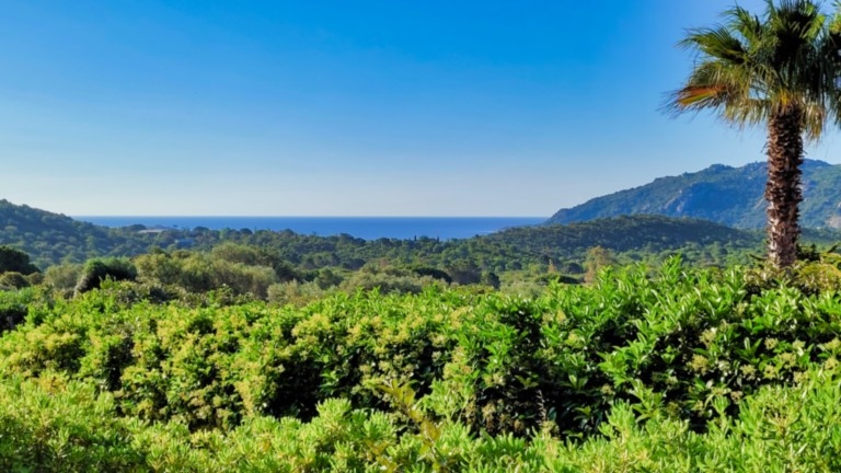 Vue sur la baie de Santa Giulia - U Sole Livante