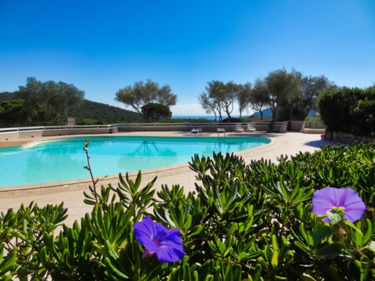 Piscine de la résidence - U Sole Livante